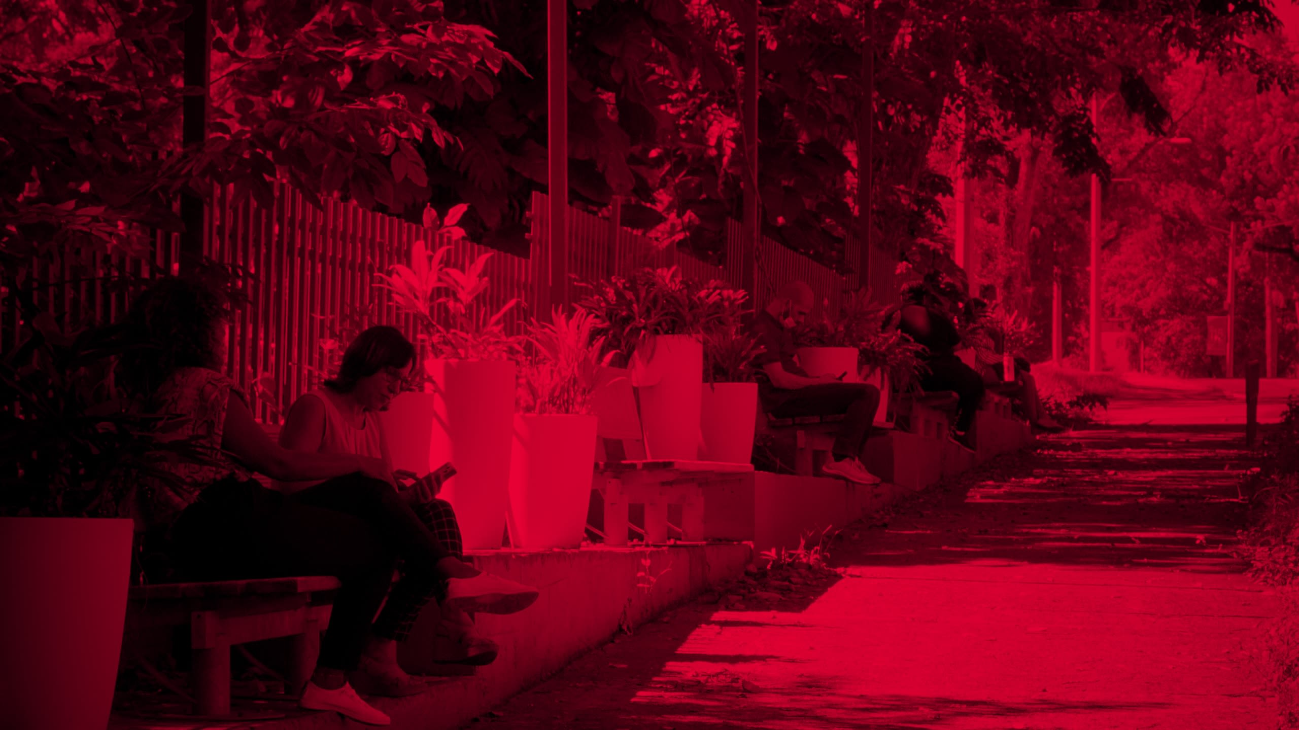 Iniciativa universitaria