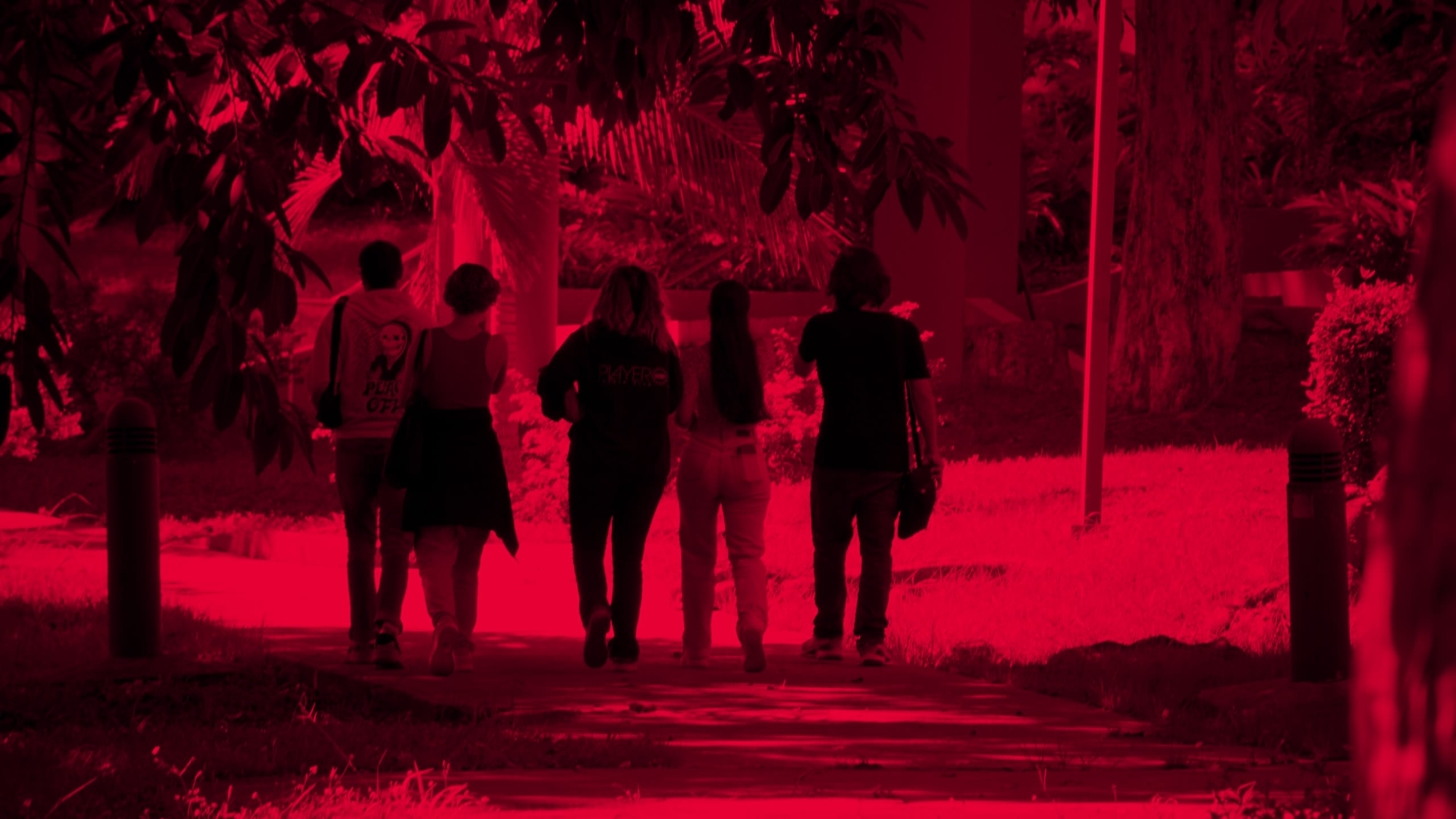 Sección "Entre Gallitos y Jerezanas"