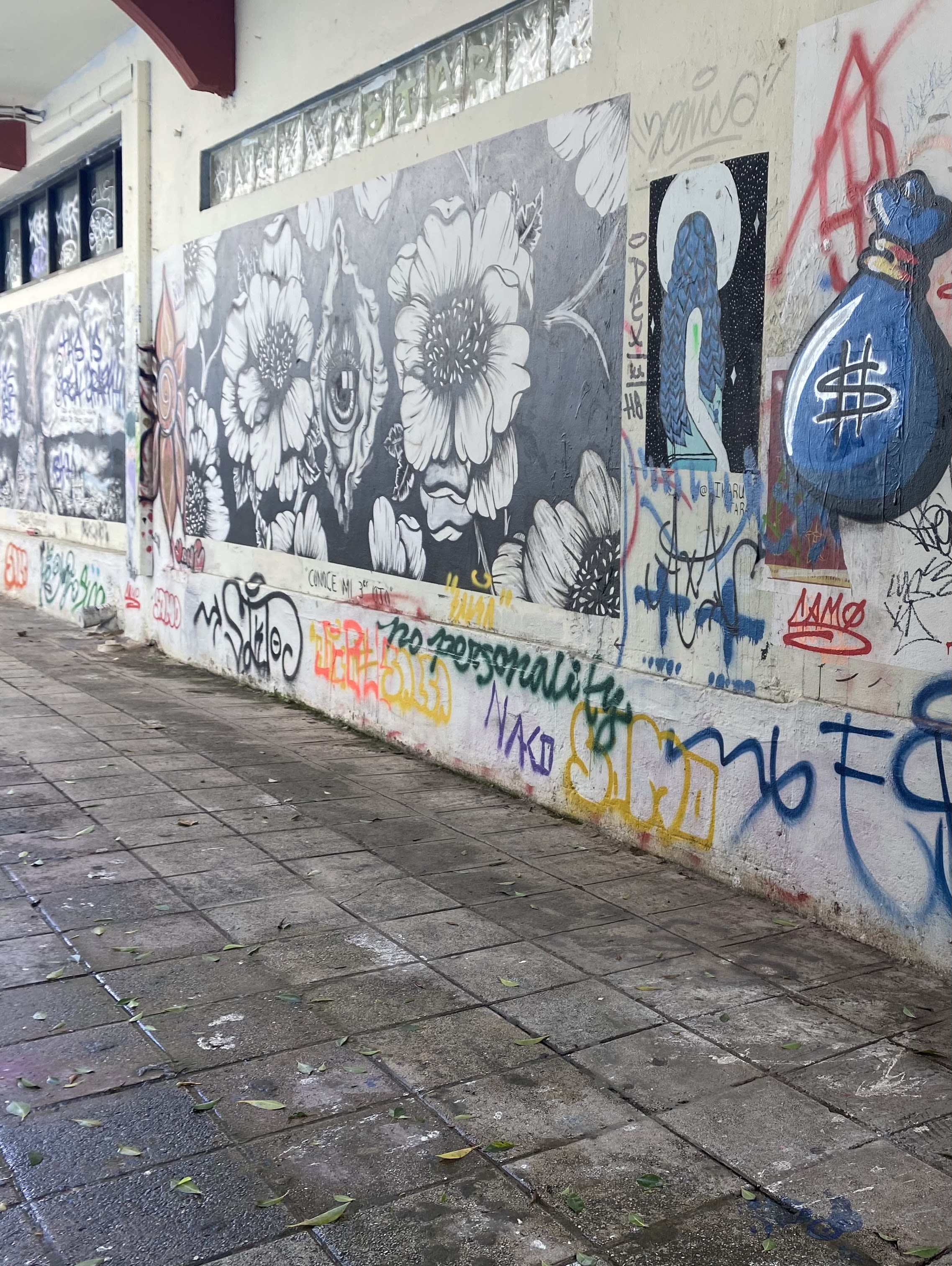 Fotografía por Itzel M. Rivera Rivera, callejones de Río Piedras