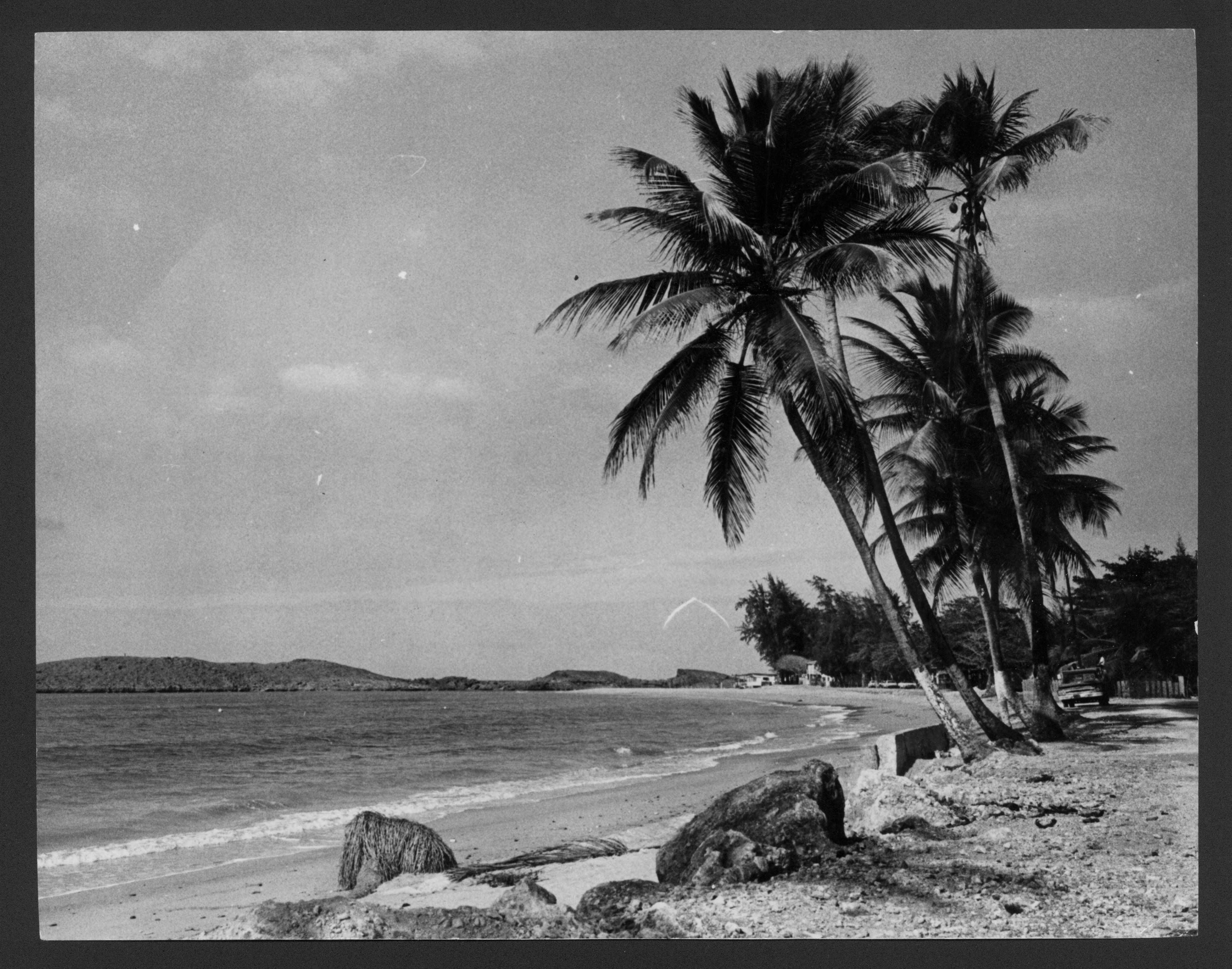 1968: Palmas en playa de Vega Baja